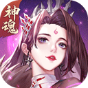 国美安卓版